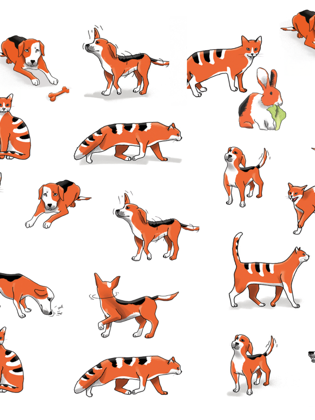 Headerfoto illustraties dierentaal