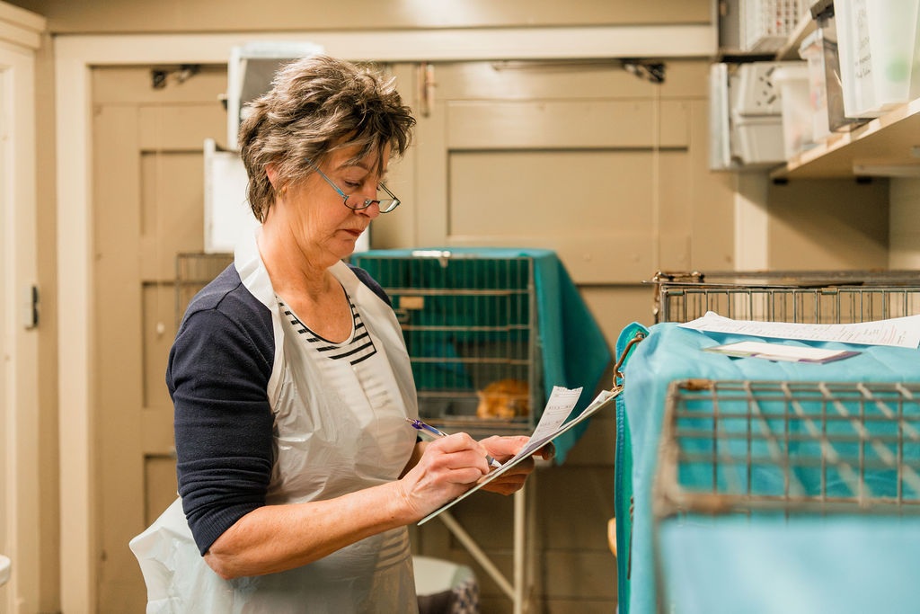 Marij TNRC-medewerker