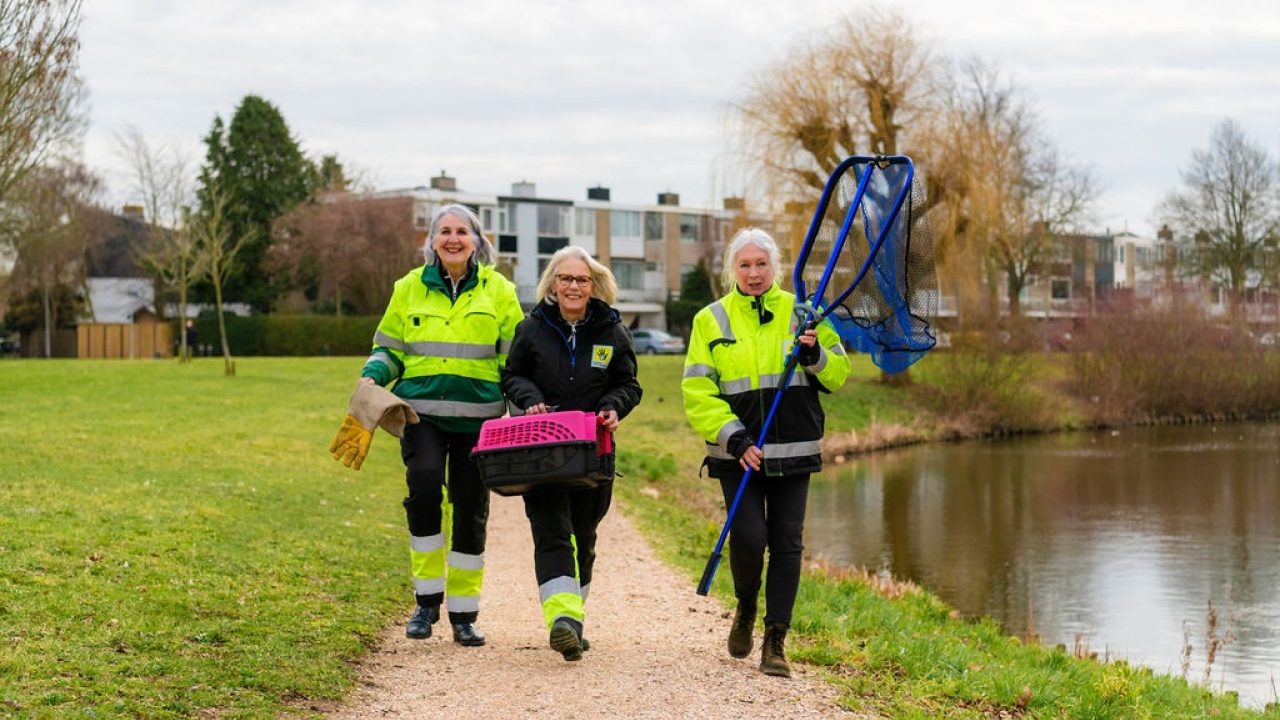 'Charlie's Angels' doen niet aan pensioen