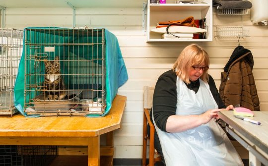 Dierenbescherming Lisette Marij 2
