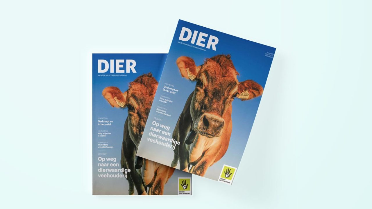 Nieuwe DIER - Op weg naar een dierwaardige veehouderij