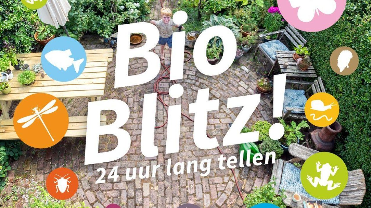 24 uur dieren tellen: doe je mee?