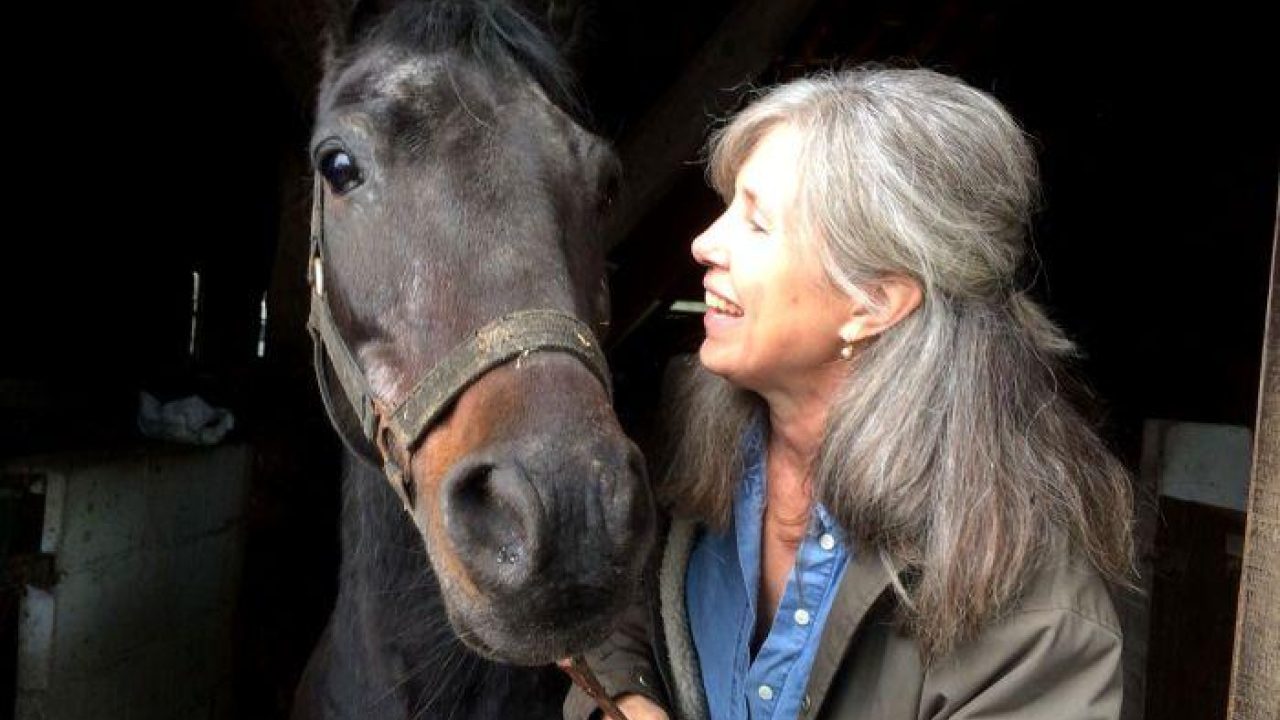 Bietje, het leukste oude paard van 2018!