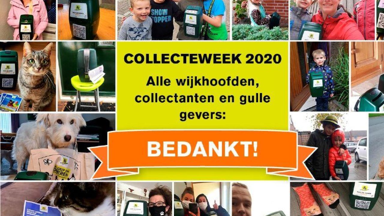 Definitieve opbrengst collecteweek 2020 bekend
