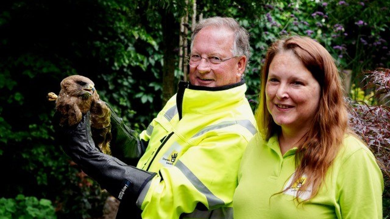 Juli: chips, motorblokken en een opmerkelijke vriendschap