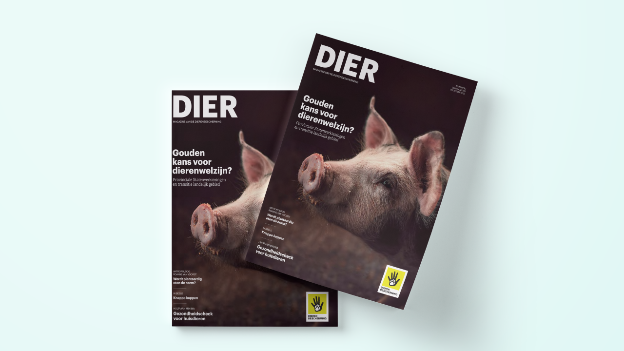Nieuwe DIER - Gouden kans voor dierenwelzijn?