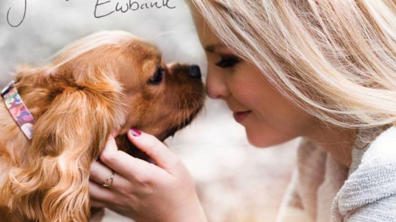 Van dierendaglied tot datingsite: acties voor de Dierenbescherming