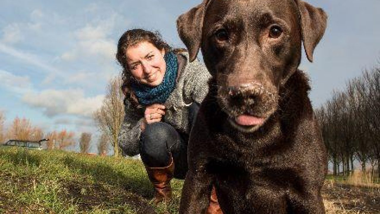 'Elke keer als ik Bruno aankijk, krijg ik tranen in mijn ogen'