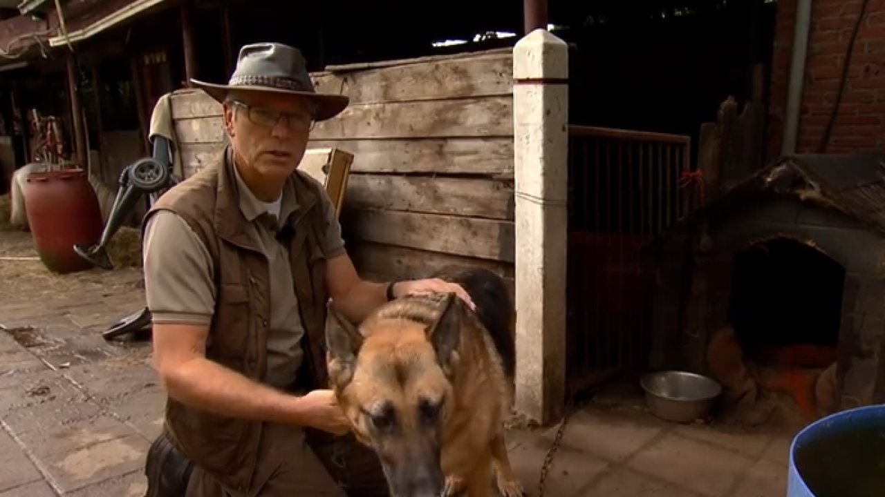 Inspecteur Jan redt tientallen dieren