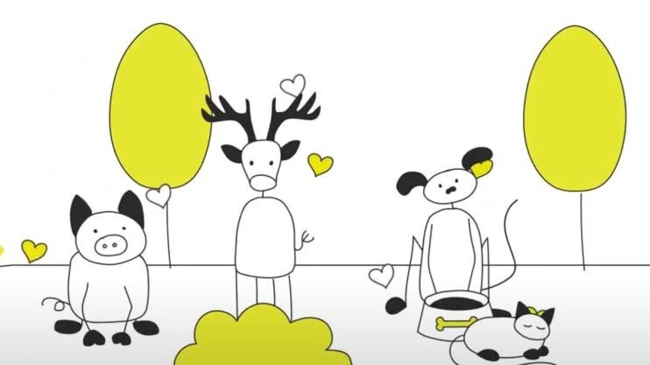Samen maken we diervriendelijk vanzelfsprekend