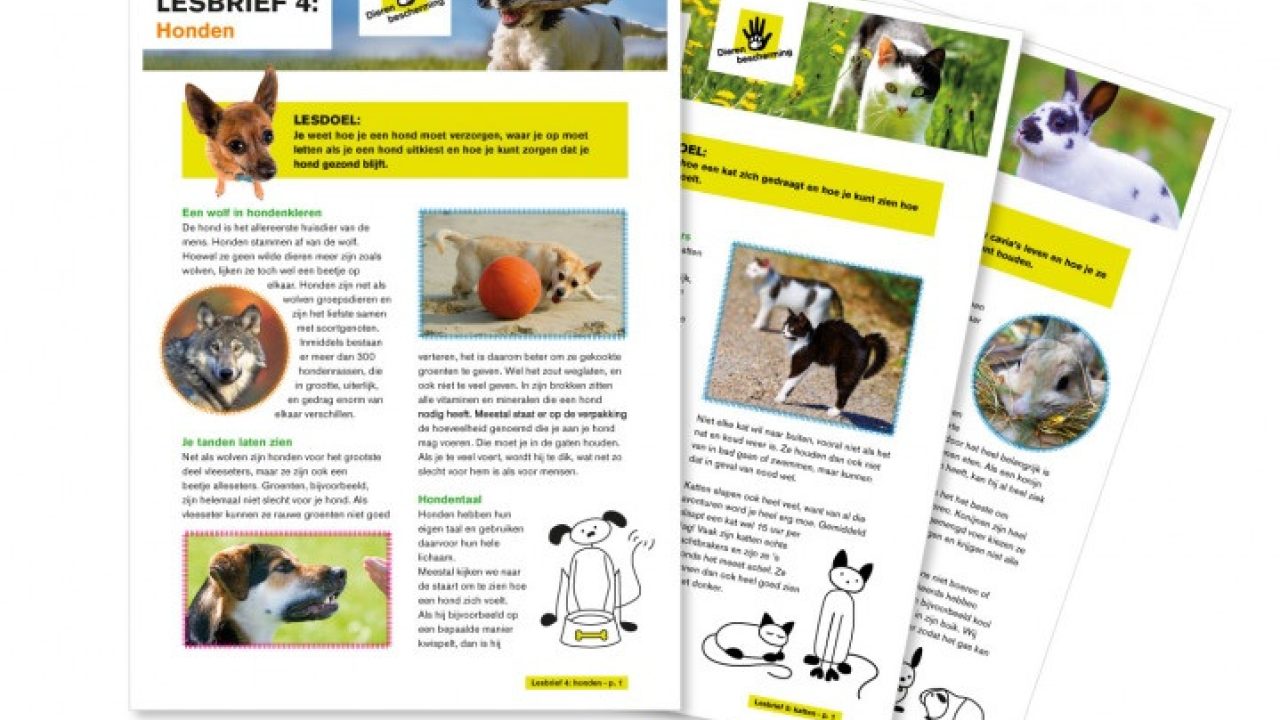 Dierenberoepen en de Kinderboekenweek