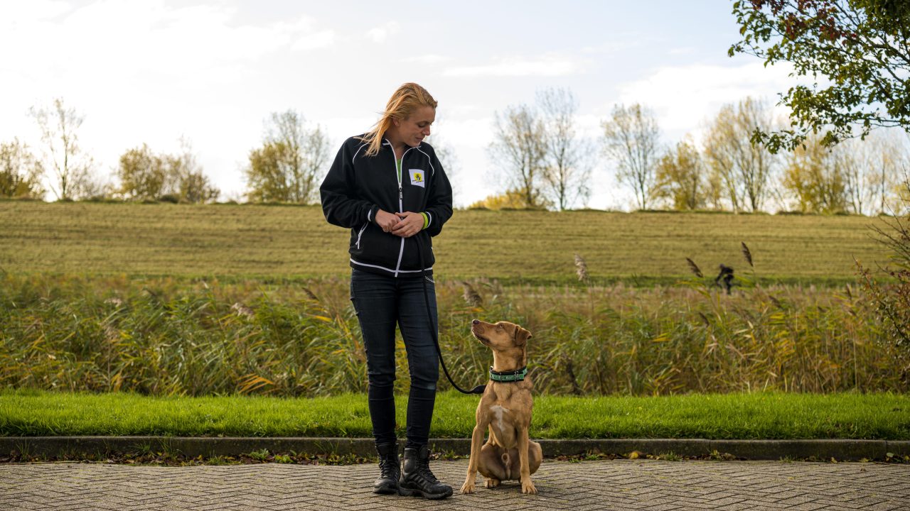 Doodsbange Skippy vindt toch nog baas