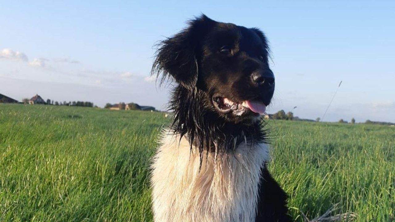 Update: Sam krijgt steeds meer vertrouwen