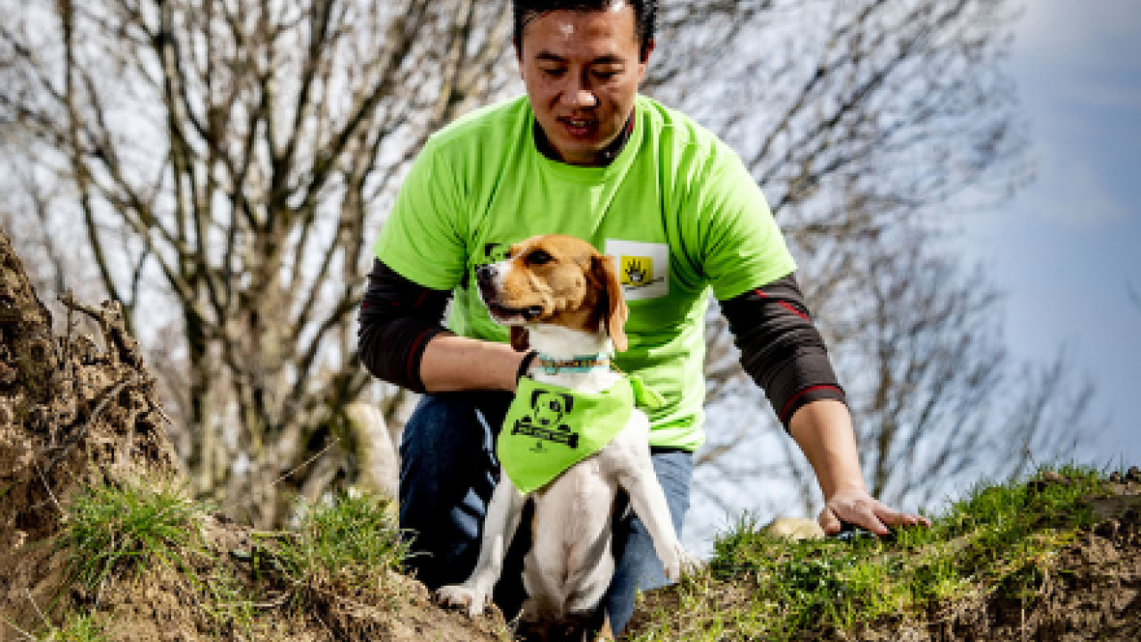 Dog Fun Run: Honden en hun baasje in actie voor asielhonden