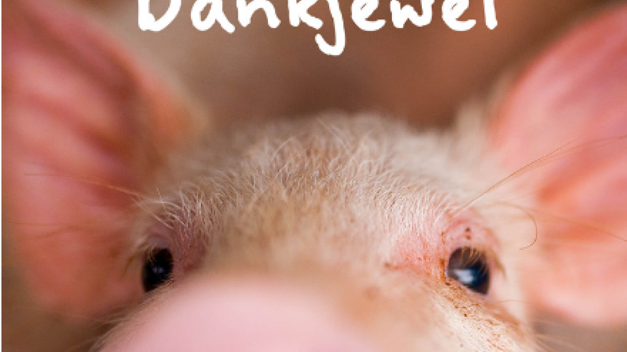 1,5 miljoen handtekeningen tegen kooien