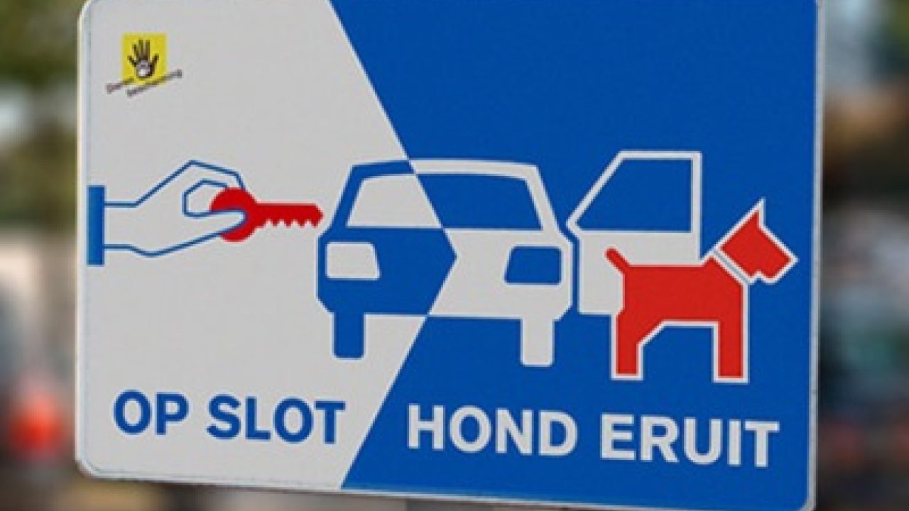 Nieuwe hitteborden geplaatst!