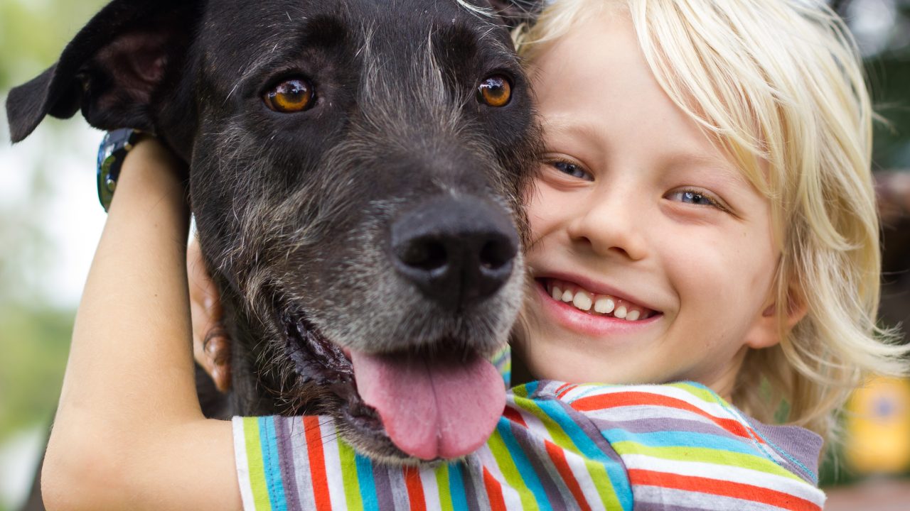 Nieuwe lesbrief: Vriendschap met dieren