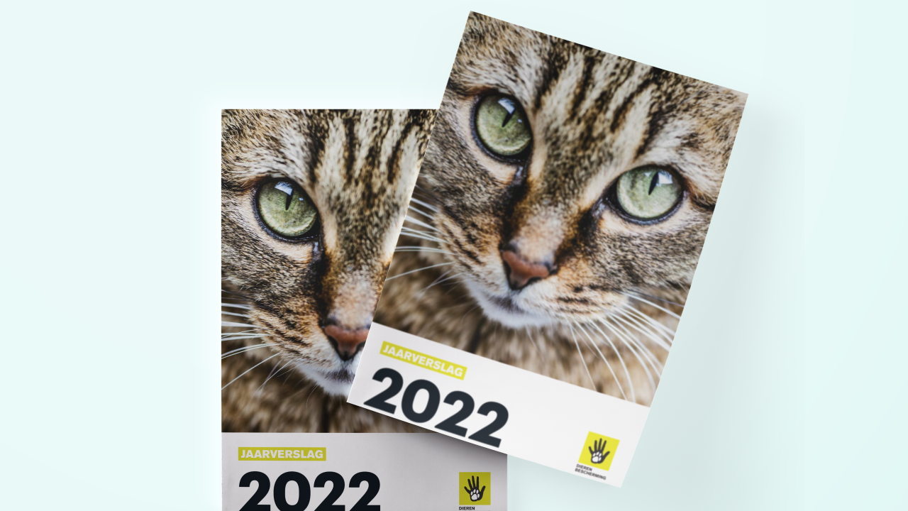 Jaarverslag 2022: resultaten in beeld