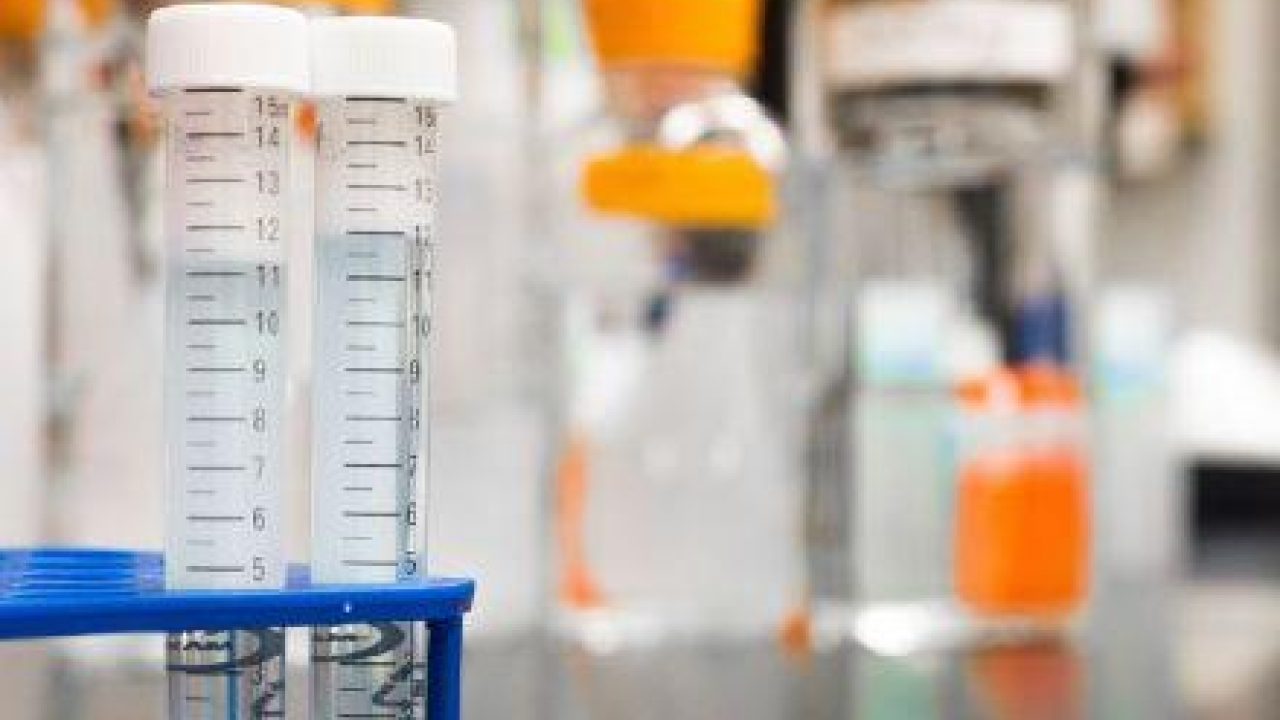 Kabinet wil minder testen met apen
