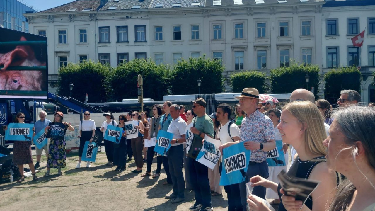 Teken mee: stop dierenleed door transport!