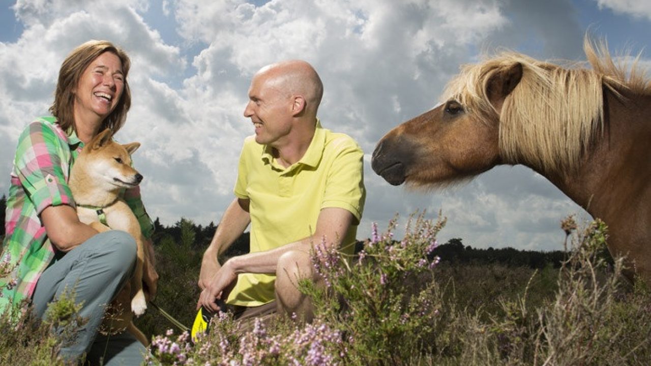 Nalaten: voor een beter dierenwelzijn