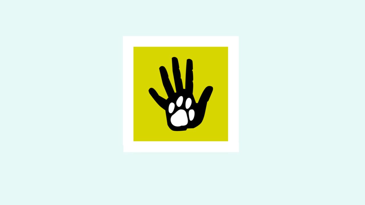 Vanaf 1 april chip- en registratieplicht voor honden