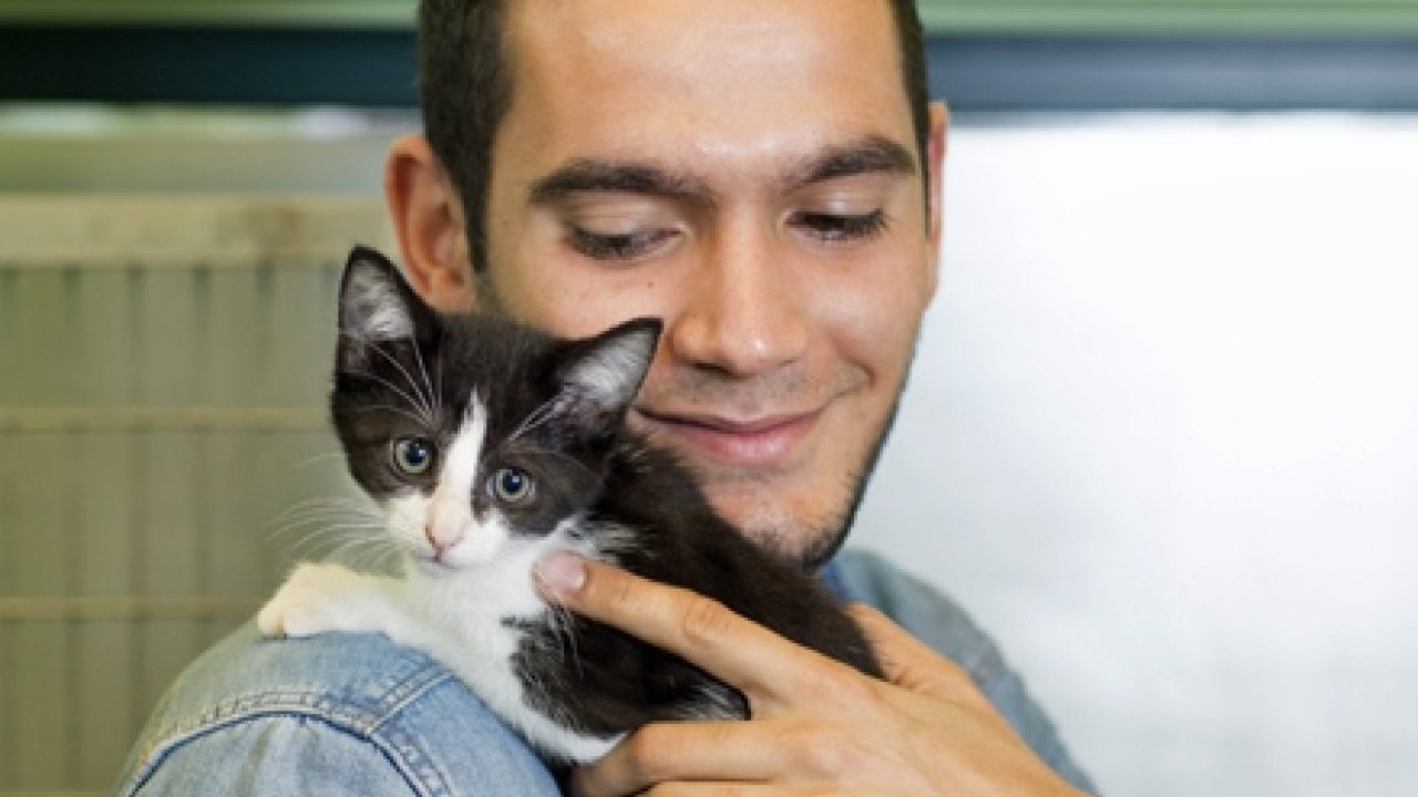 Kitten gered van verdrinking