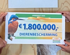 Website cover postcodeloterij steun