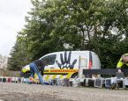 Zwerfkatten vrijlaten KLEIN