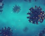 Coronavirus covid19 sarscov2 concept image picture id1214385164