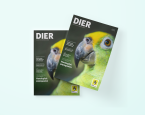 Dier lente 2023 breed