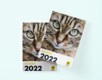 Cover jaarverslag 2022