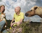 Stel met hond en paard