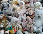 Stuffed animals 373032 960 720