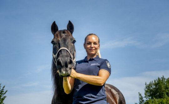 Help ons redden pony05