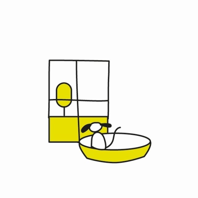 Huisdieren