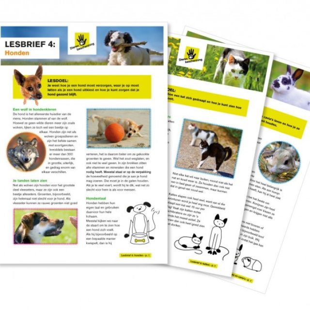 Dieren in de les