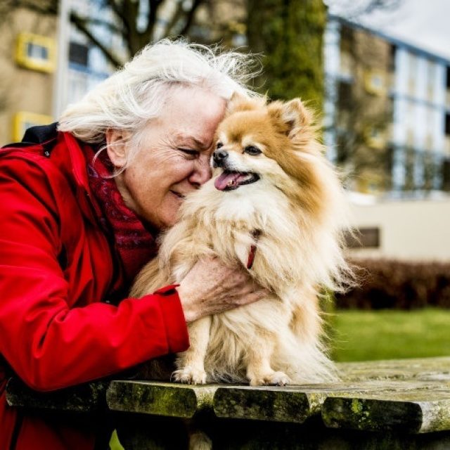 Dierenbuddy