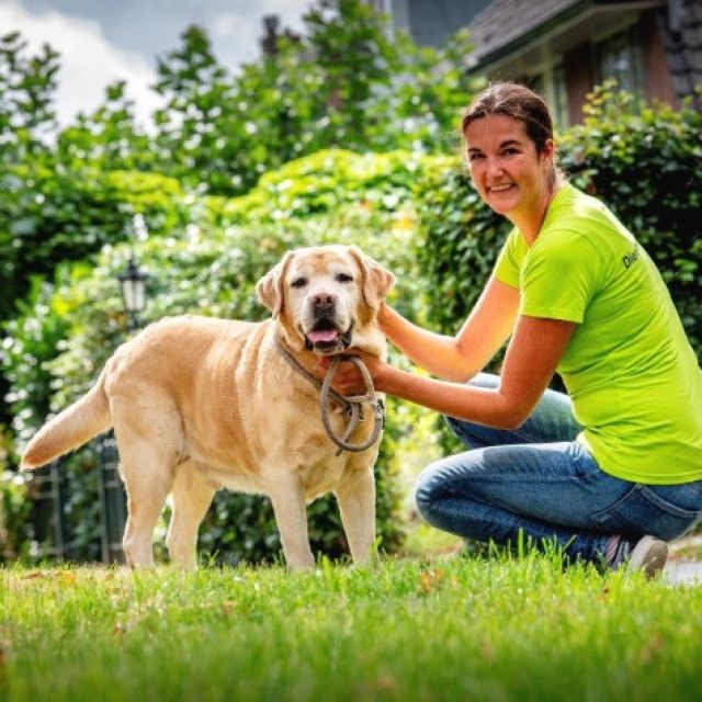 Help Dierenbuddy