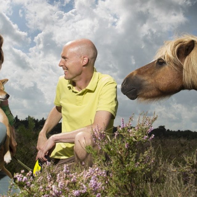 Persoonlijke verhalen