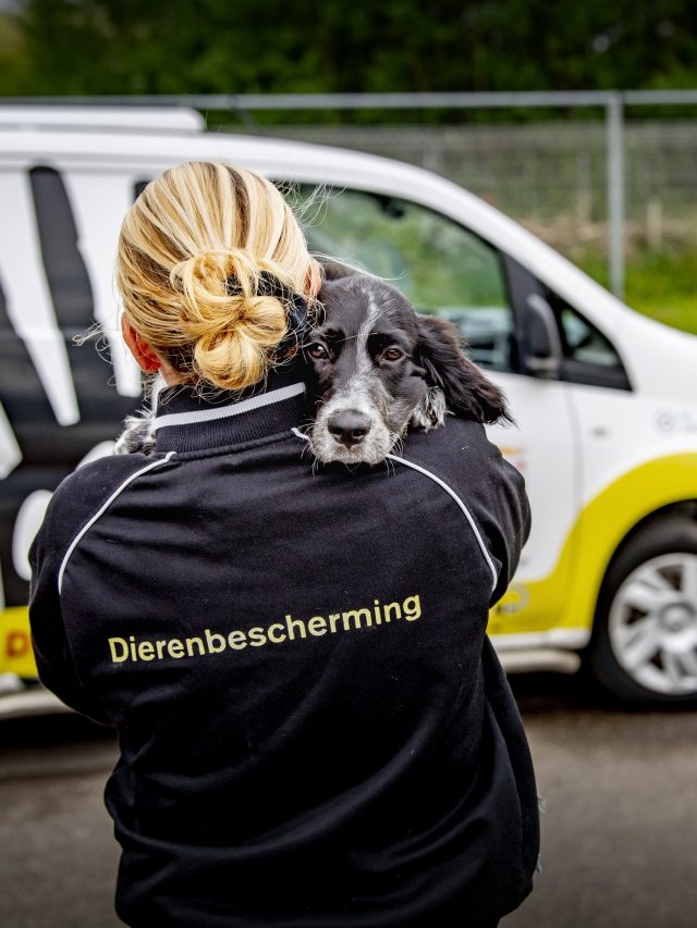 Dierenambulance, medewerker en hond
