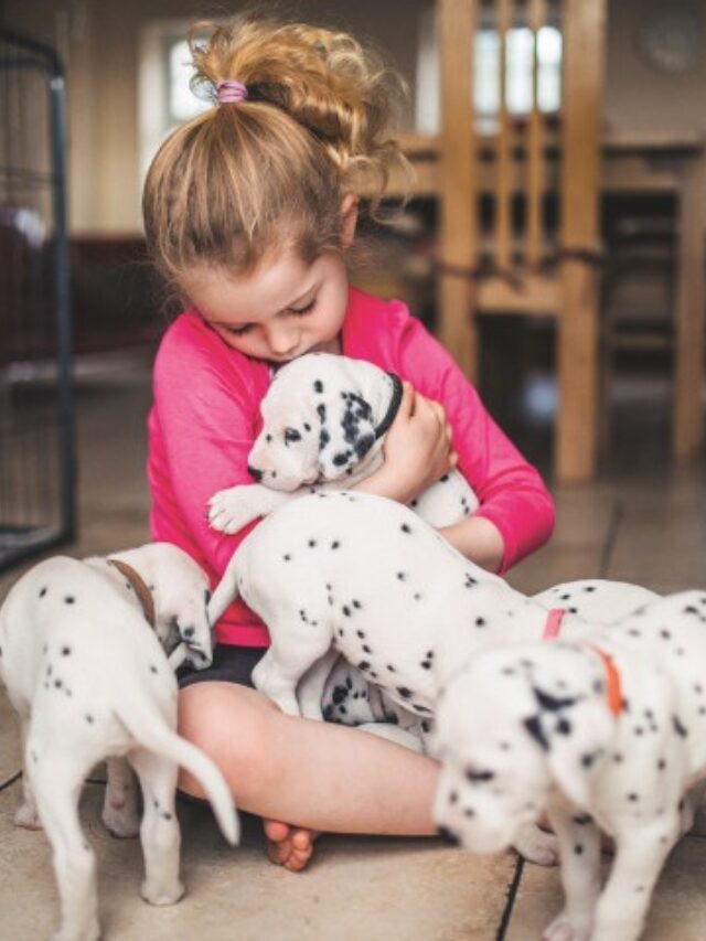 Meisje met puppies