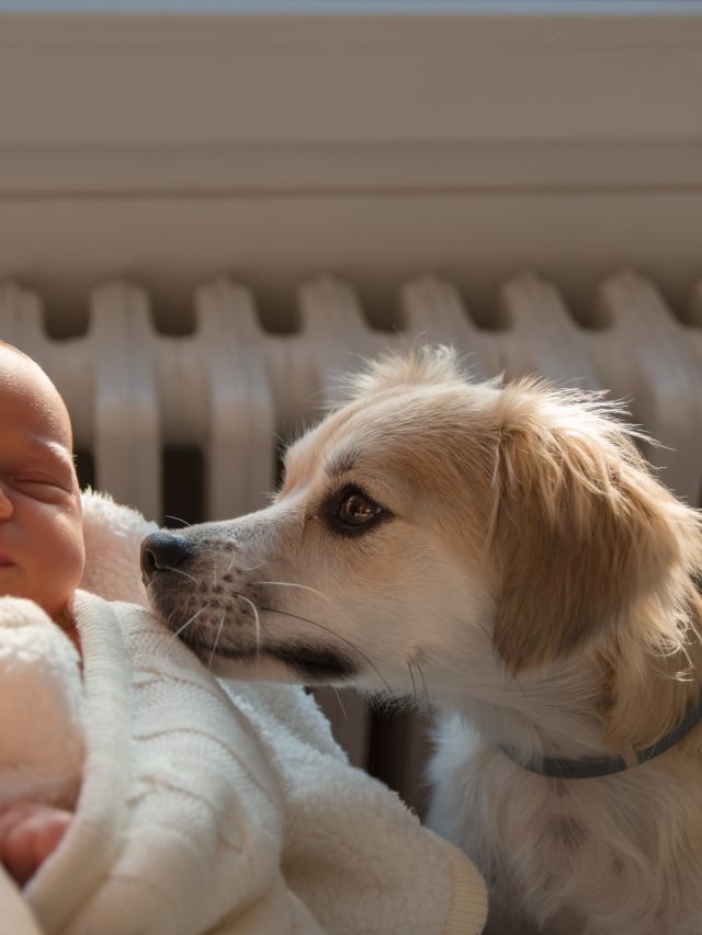 Baby en hondje