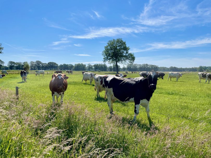 Ook onze transitie