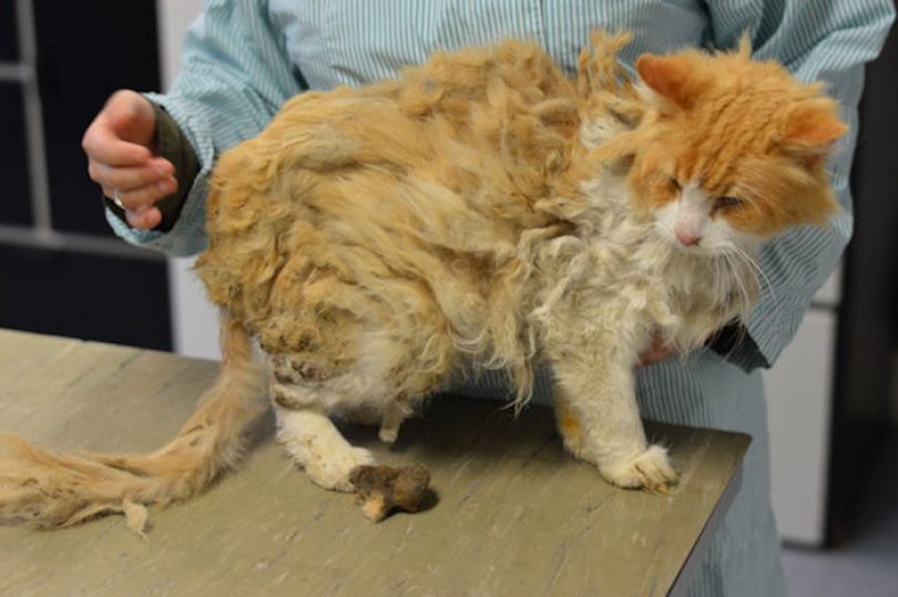 Loekie woog nog maar 3 kilo