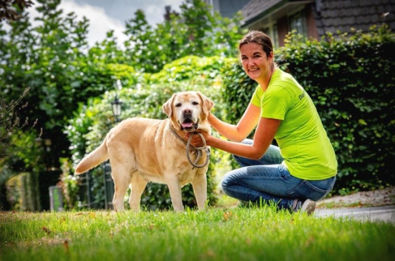 Help dierenbuddy uit te breiden