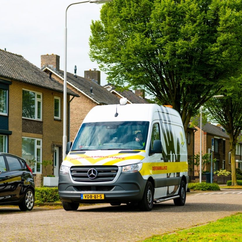 Dierenambulance Maasland