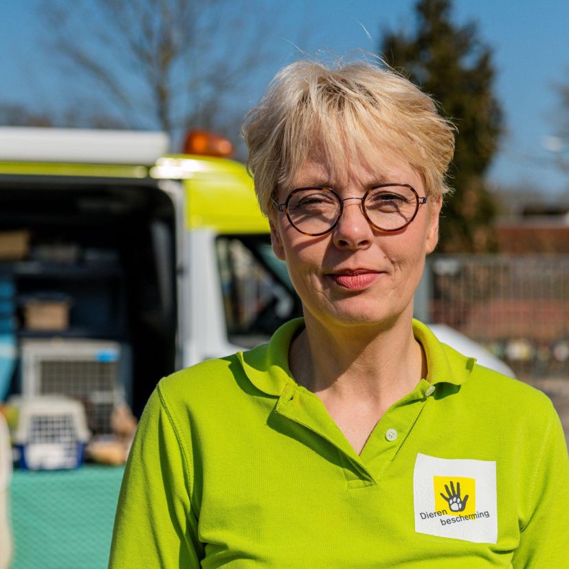 Vrouw voor Dierenambulance
