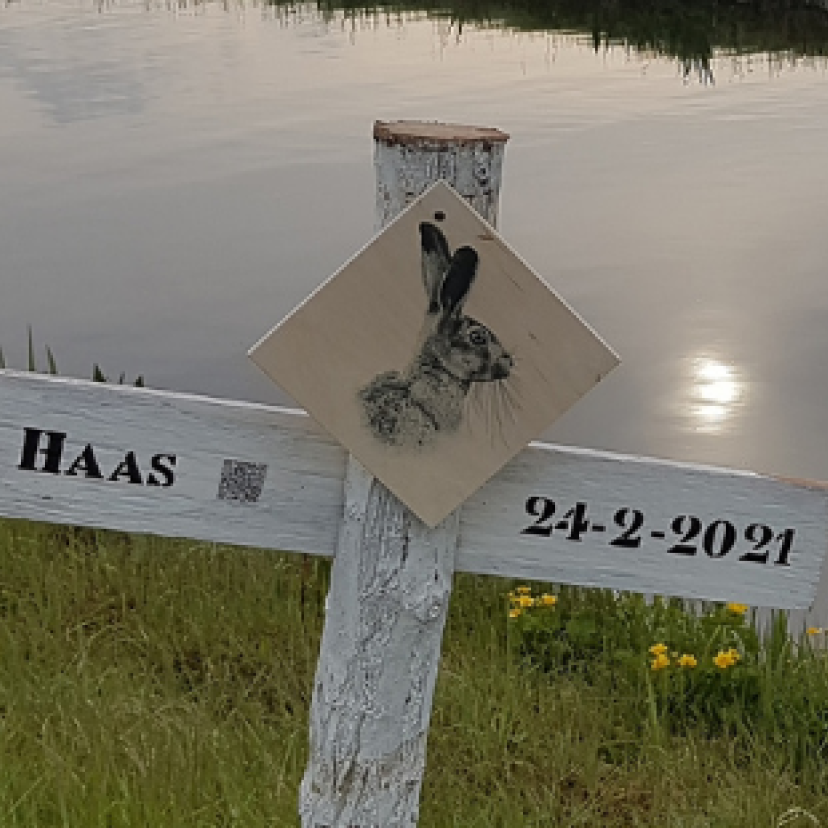 Website cover haas kruis