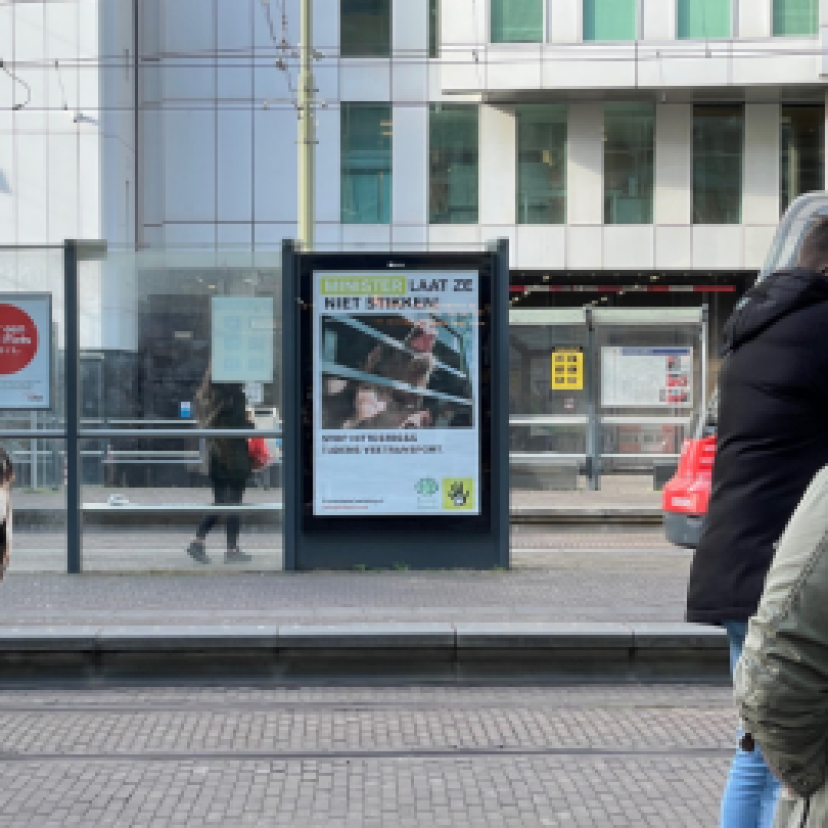 Website hittestress bord1